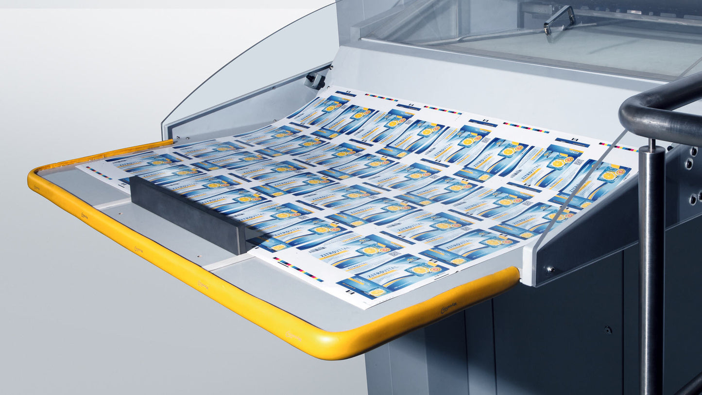 Die Cutting System