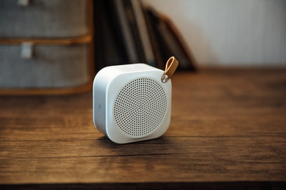Bluetooth Speaker